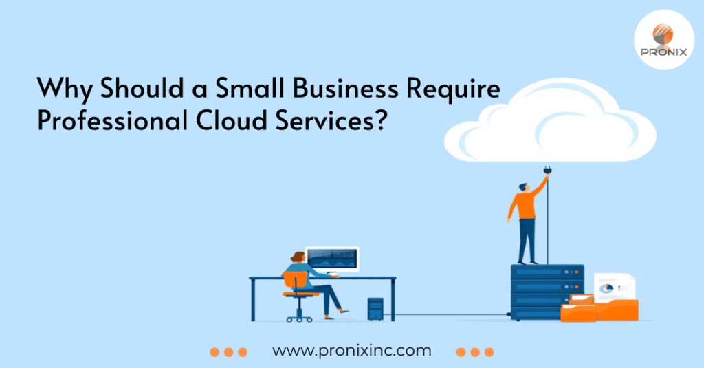 Why Should a Small Business Require Professional Cloud Services