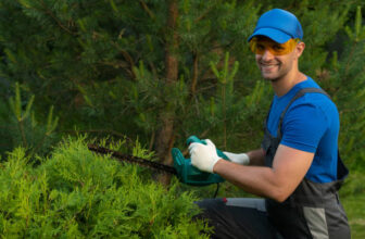 What to Look for in a Landscaping Contractor in Millstone NJ: Expert Tips & Advice