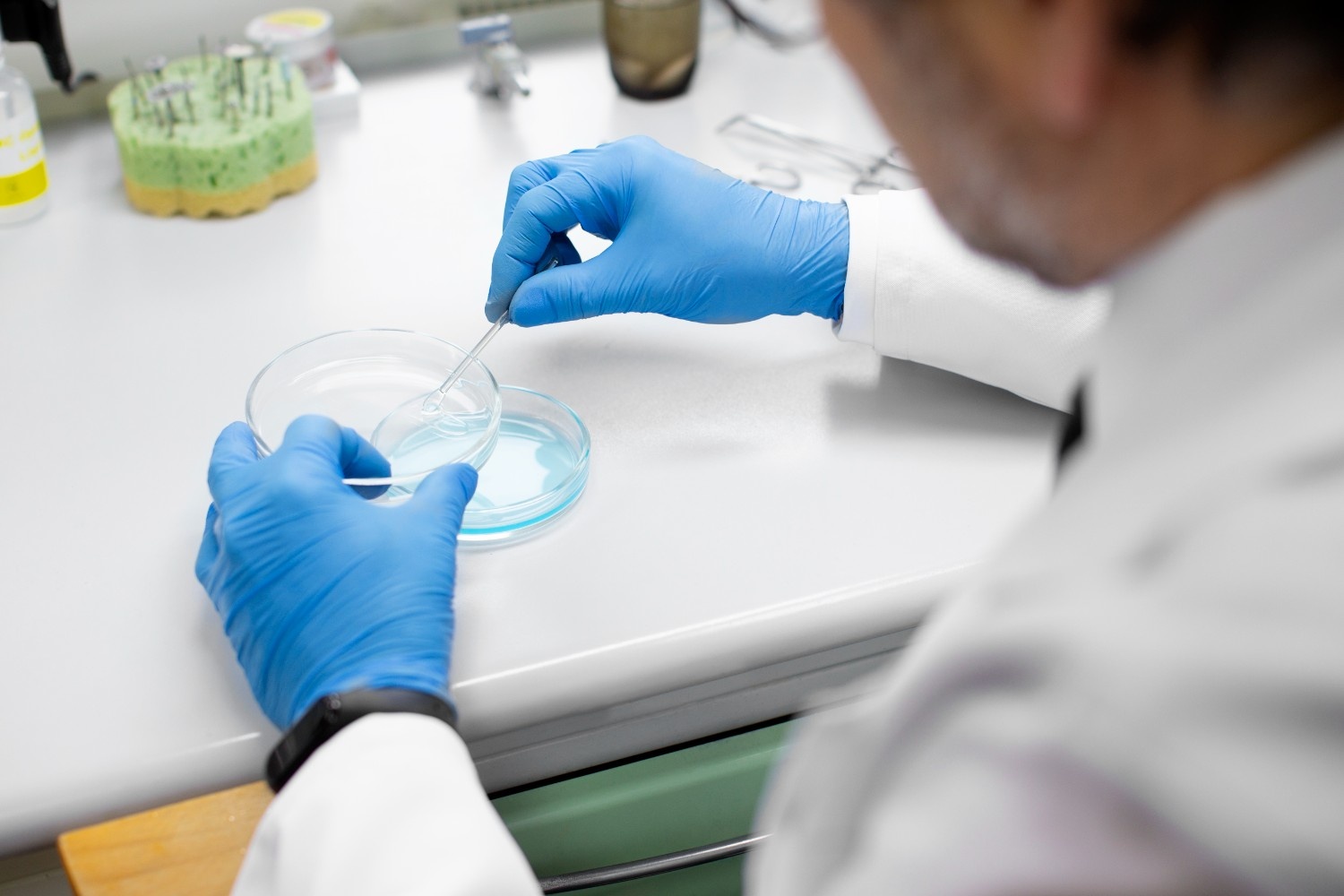 Protein Purification Affinity Chromatography