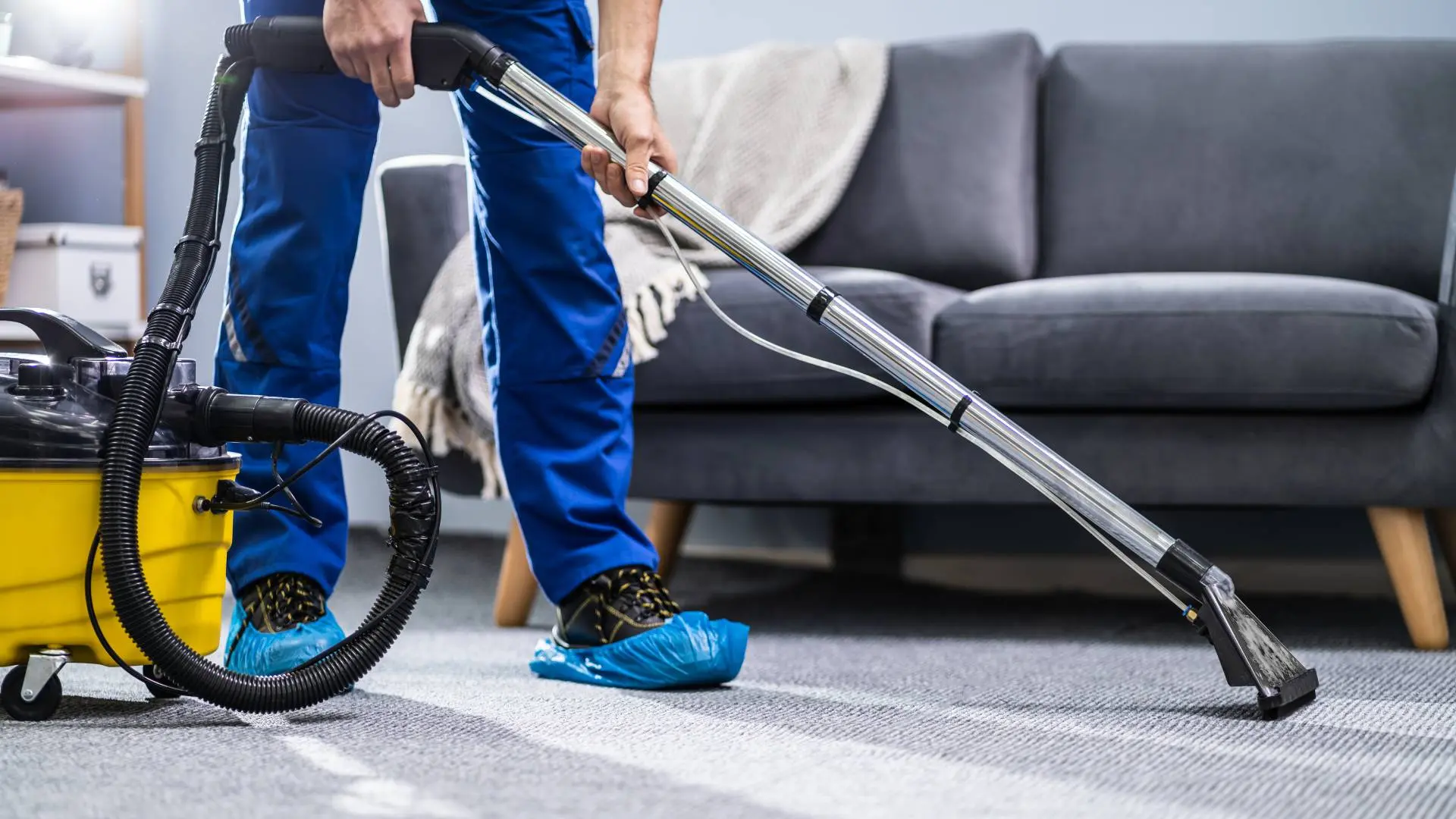 Carpet Cleaning Novato CA