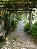 How to Maintain the Best Curb Appeal with Expert Care in Carmel?
