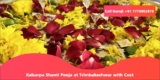 Kalsarpa Shanti Pooja at Trimbakeshwar with Cost